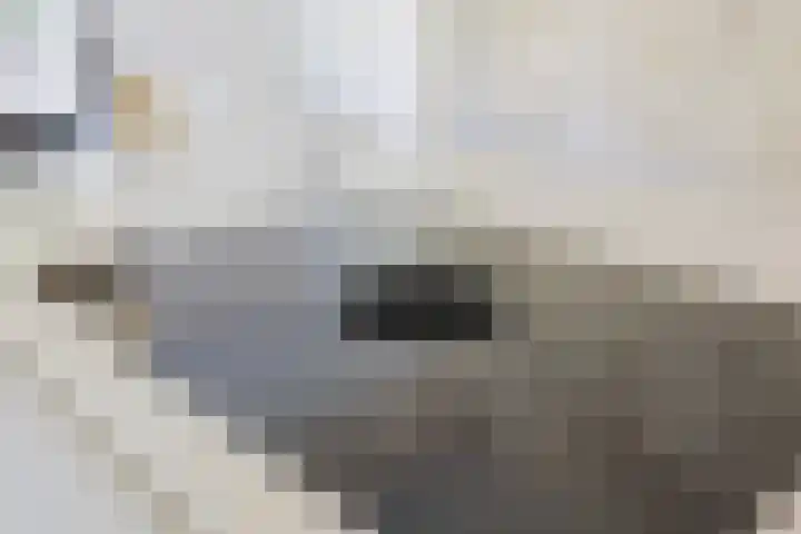 Smallekamp 4 Velserbroek thumbnail 22