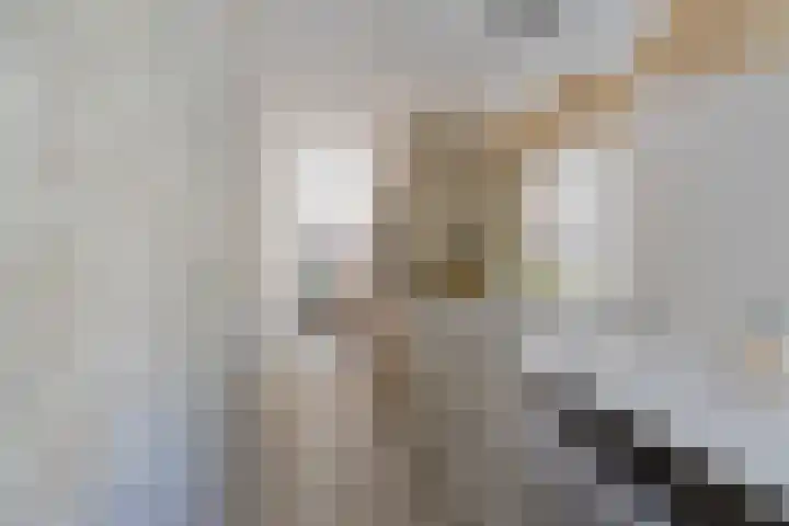Smallekamp 4 Velserbroek thumbnail 24