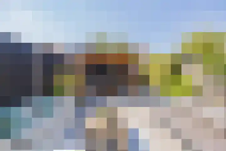 Smallekamp 4 Velserbroek thumbnail 25