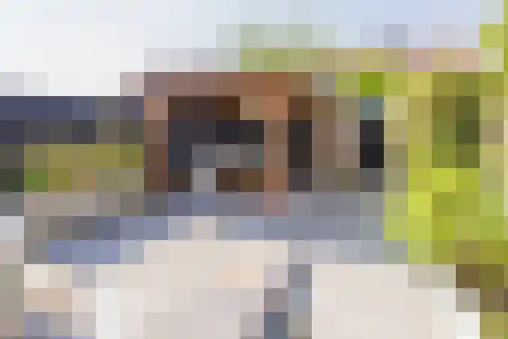 Smallekamp 4 Velserbroek thumbnail 26