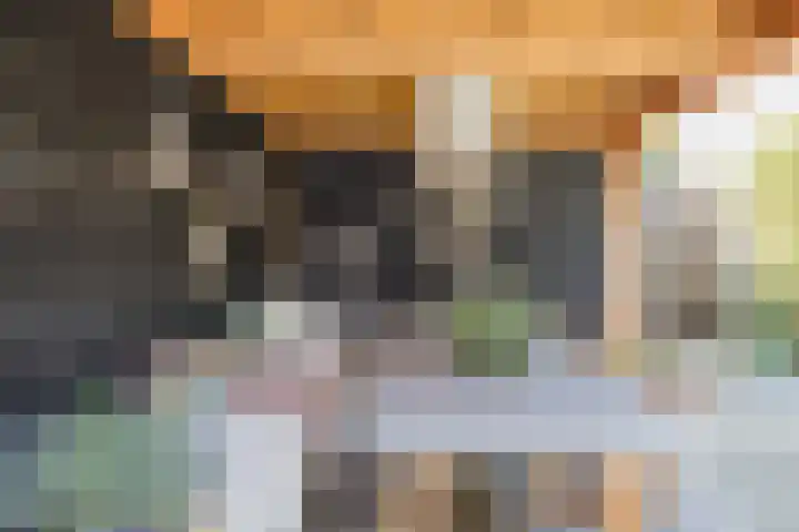 Smallekamp 4 Velserbroek thumbnail 28