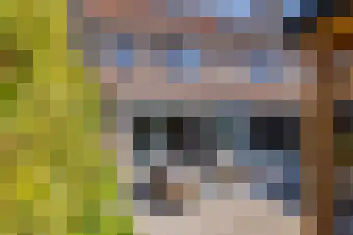 Smallekamp 4 Velserbroek thumbnail 30
