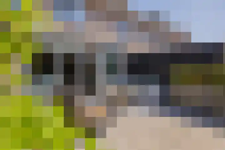 Smallekamp 4 Velserbroek thumbnail 31