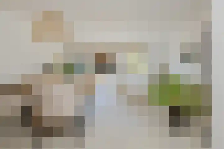 Smallekamp 4 Velserbroek thumbnail 4