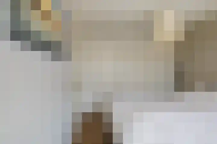 Smallekamp 4 Velserbroek thumbnail 42
