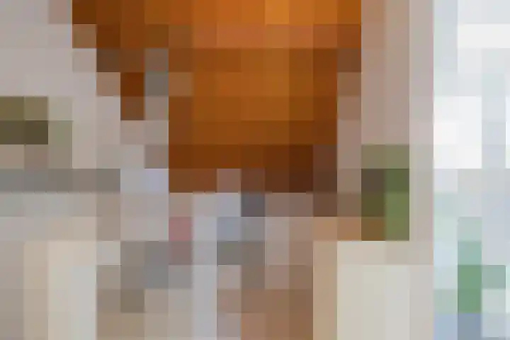Smallekamp 4 Velserbroek thumbnail 47