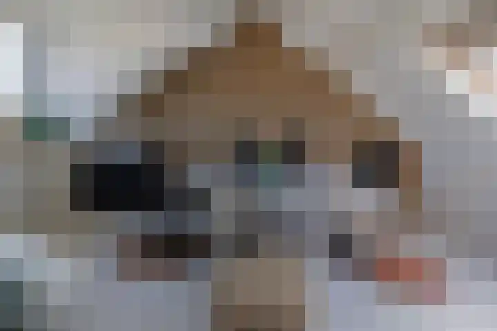 Smallekamp 4 Velserbroek thumbnail 48