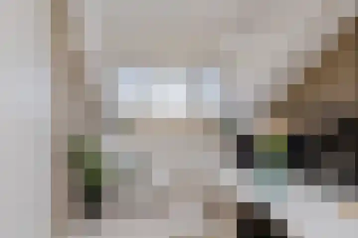 Smallekamp 4 Velserbroek thumbnail 49