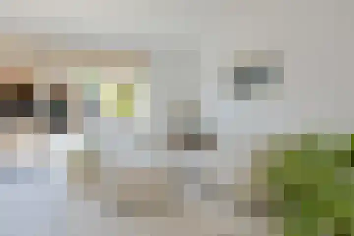 Smallekamp 4 Velserbroek thumbnail 8