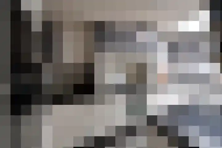 Smallelaan 3 Huizen thumbnail 10