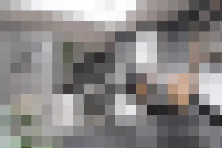 Smallelaan 3 Huizen thumbnail 11