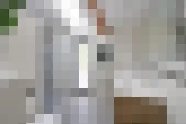 Smallelaan 3 Huizen thumbnail 14