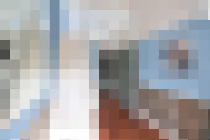 Smallelaan 3 Huizen thumbnail 15