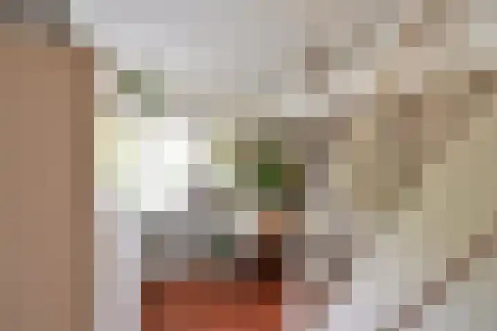 Smallelaan 3 Huizen thumbnail 18