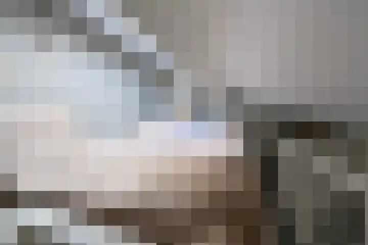 Smallelaan 3 Huizen thumbnail 20