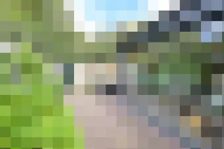 Smallelaan 3 Huizen thumbnail 21