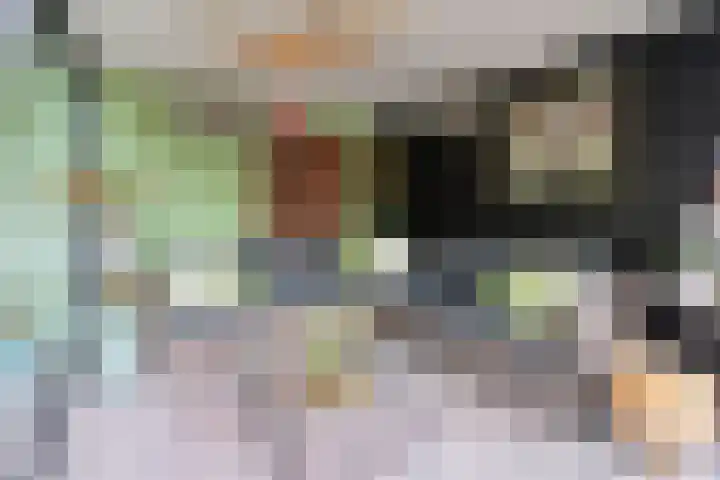 Smallelaan 3 Huizen thumbnail 22