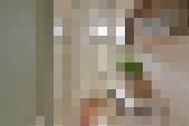 Smallelaan 3 Huizen foto 3