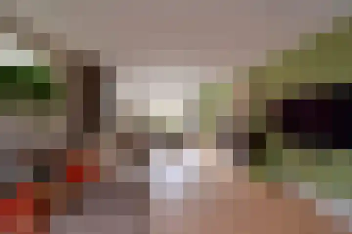 Smallelaan 3 Huizen thumbnail 4