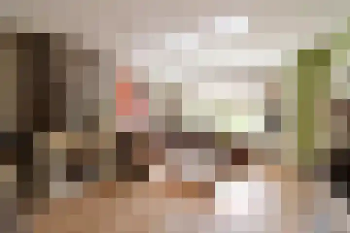 Smallelaan 3 Huizen thumbnail 5