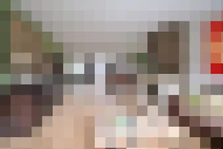 Smallelaan 3 Huizen thumbnail 6