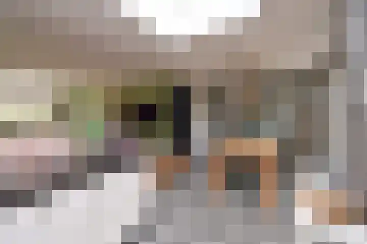 Smallelaan 3 Huizen thumbnail 8