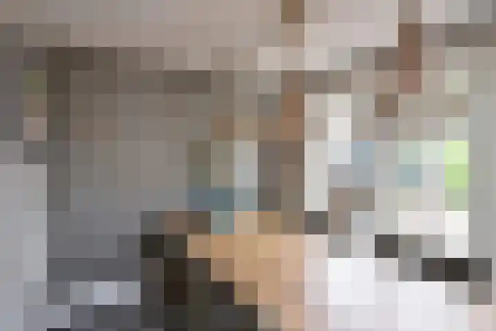 Smallelaan 3 Huizen thumbnail 9