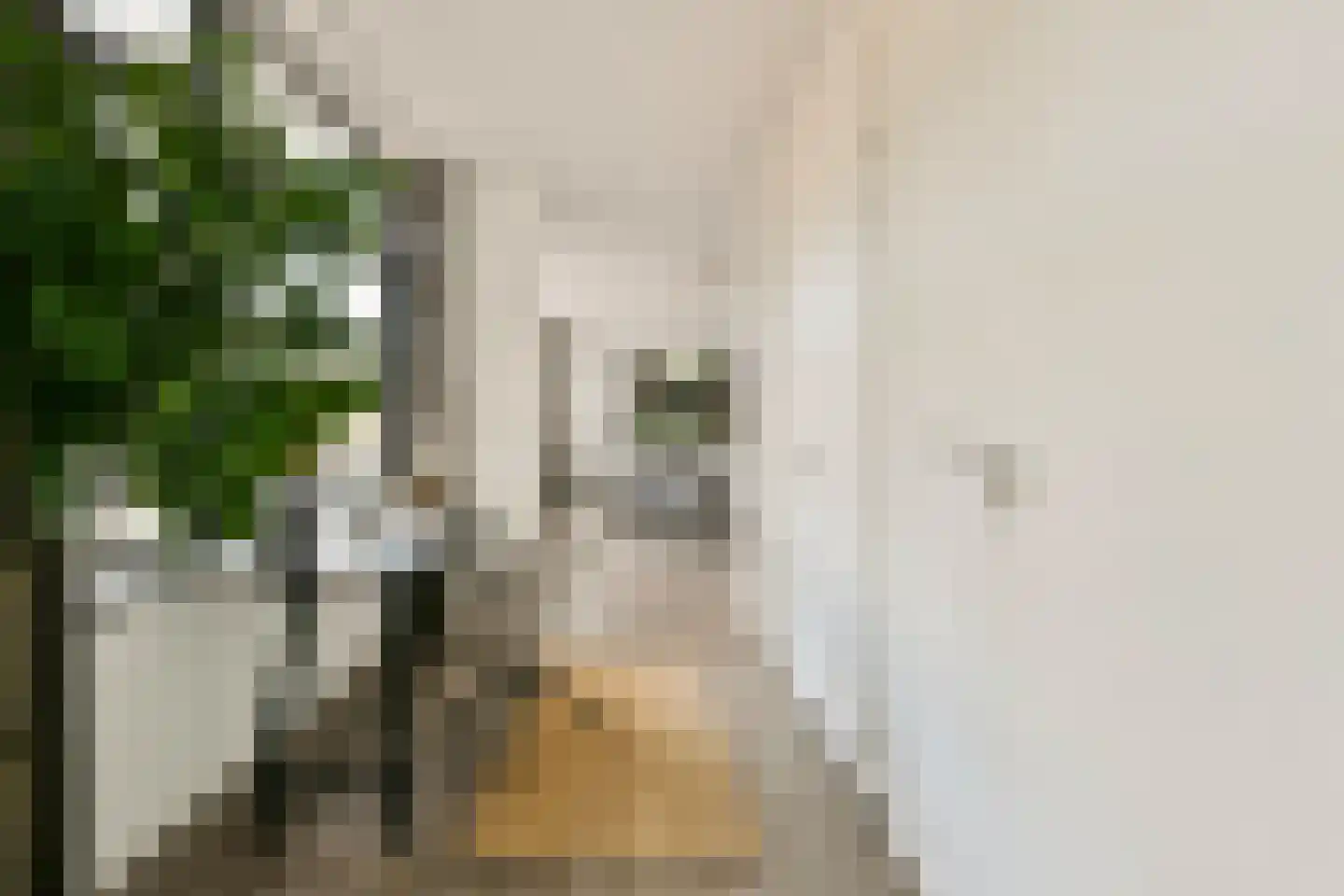 Smallepad 16 C Amersfoort thumbnail 24