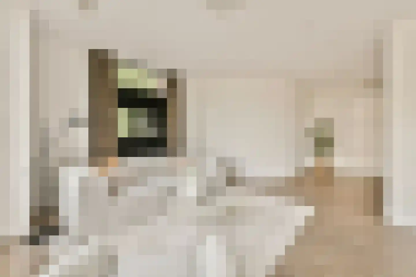 Smallepad 16 C Amersfoort thumbnail 4