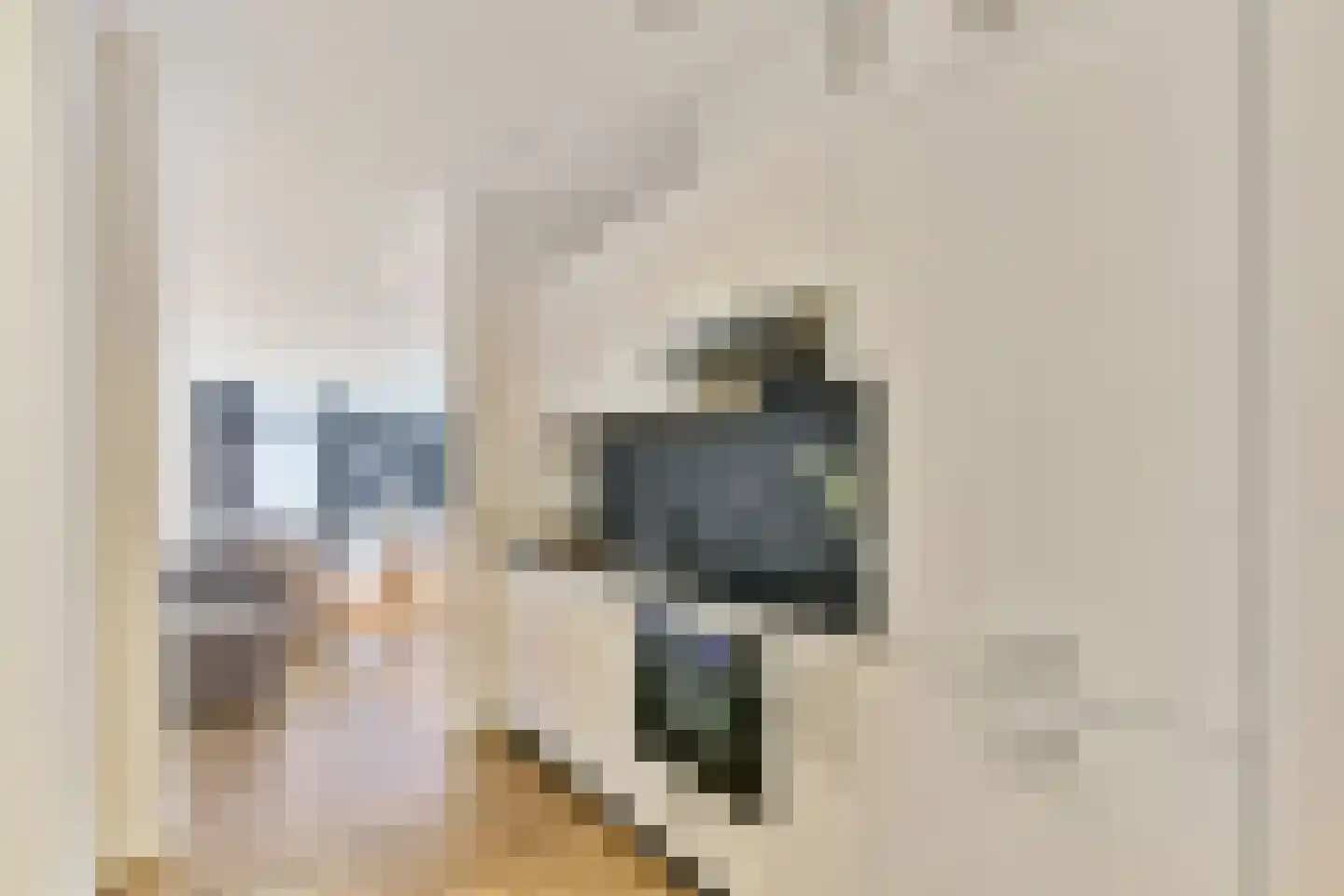 Smallepad 16 D Amersfoort thumbnail 11