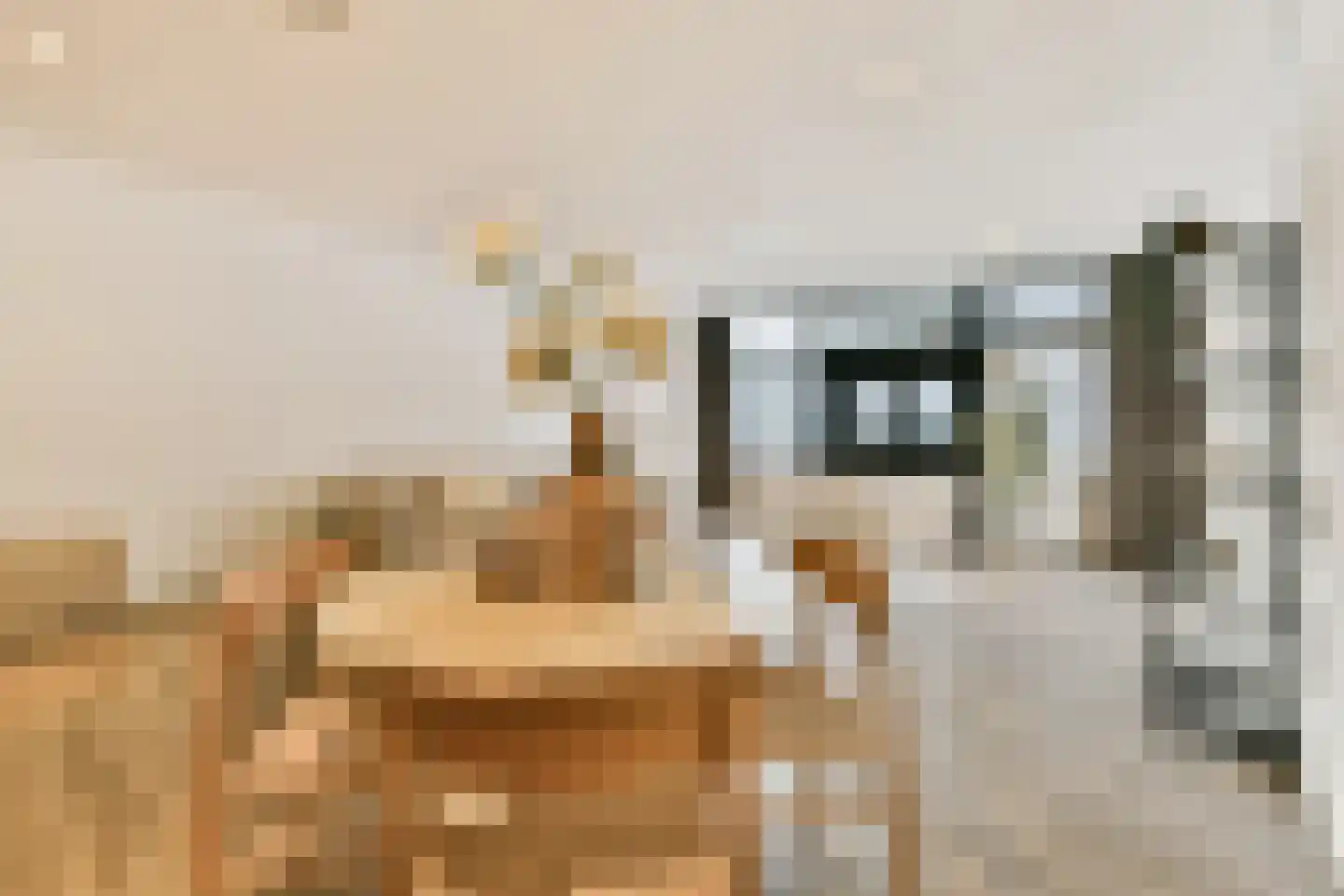 Smallepad 16 D Amersfoort thumbnail 14
