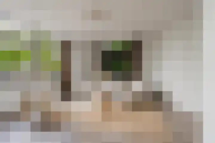 Smallepad 18 C Amersfoort thumbnail 11