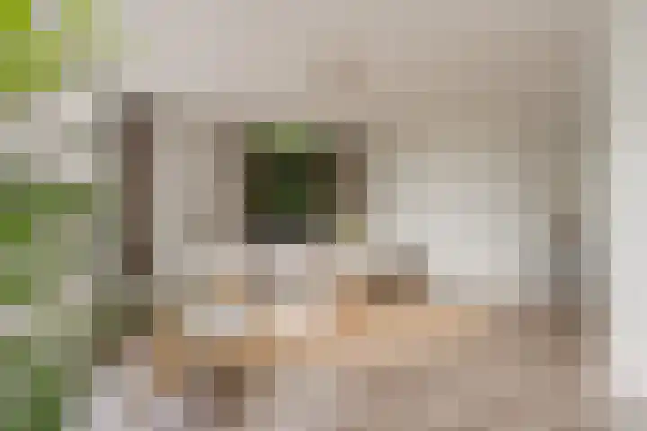 Smallepad 18 C Amersfoort thumbnail 12