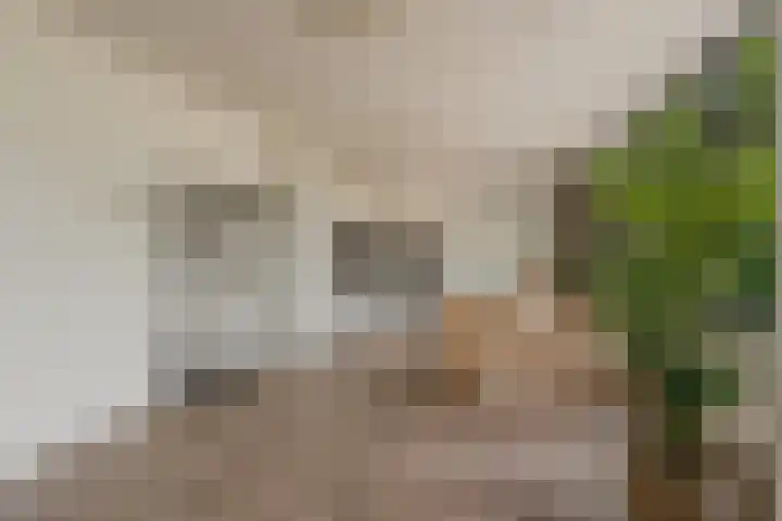 Smallepad 18 C Amersfoort thumbnail 16