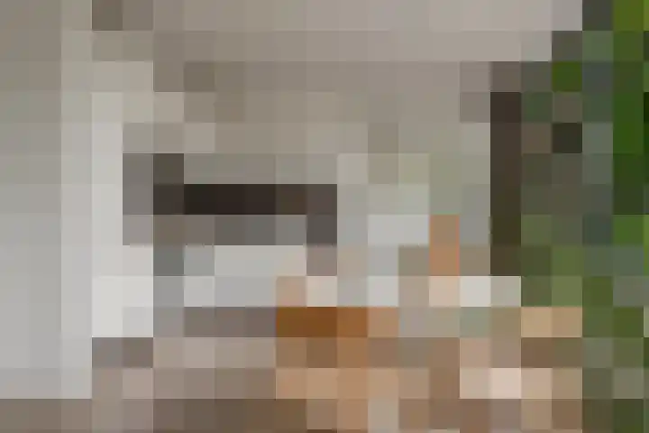 Smallepad 18 C Amersfoort thumbnail 18