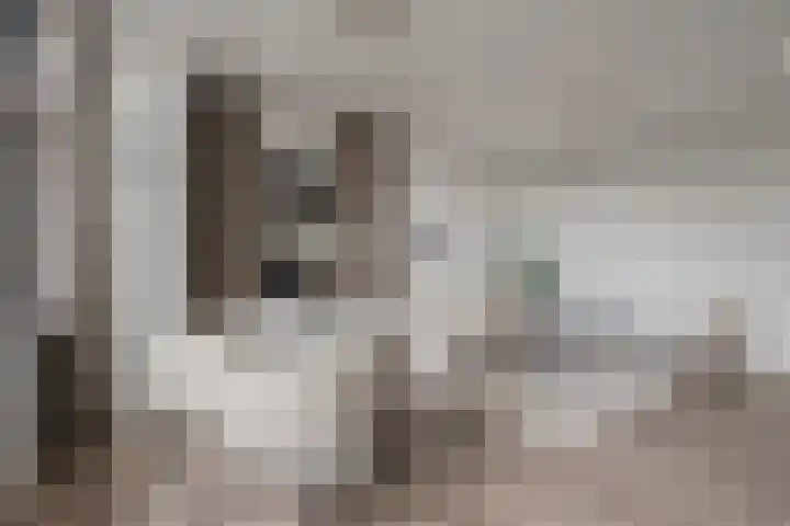 Smallepad 20 B Amersfoort thumbnail 10
