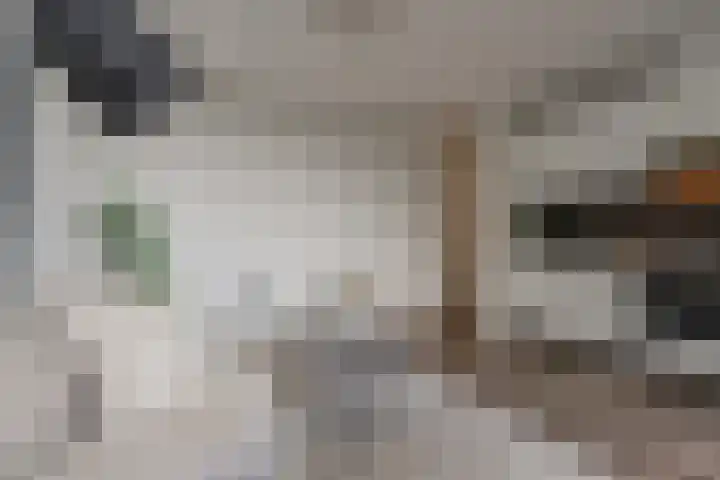 Smallepad 20 B Amersfoort thumbnail 14