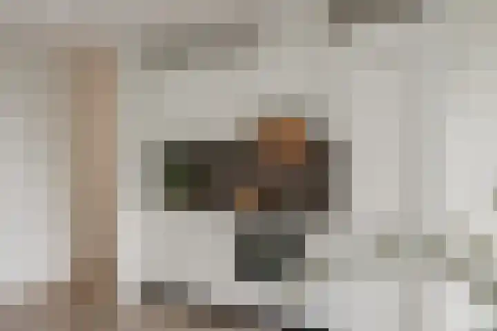 Smallepad 20 B Amersfoort thumbnail 19