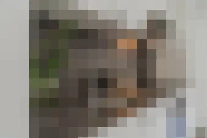 Smallepad 20 B Amersfoort thumbnail 20