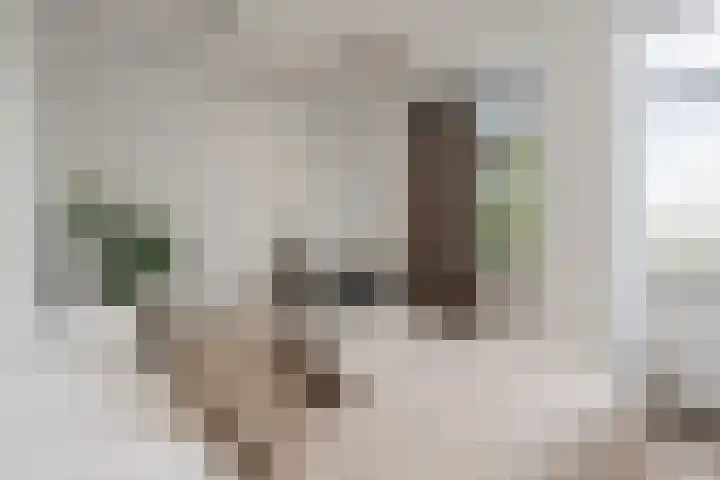 Smallepad 20 B Amersfoort thumbnail 24