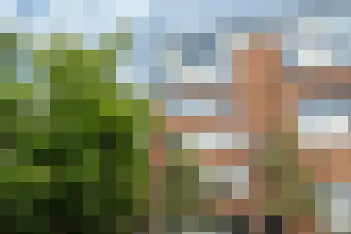 Smallepad 20 B Amersfoort thumbnail 30