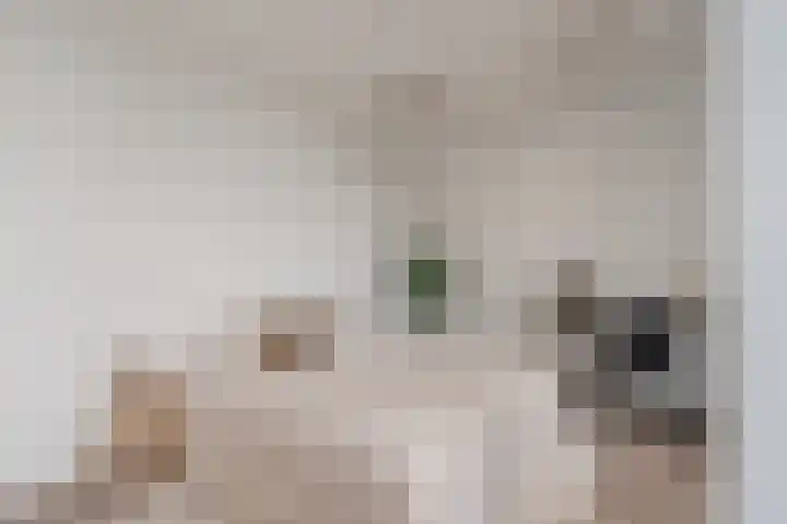 Smallepad 20 B Amersfoort thumbnail 4