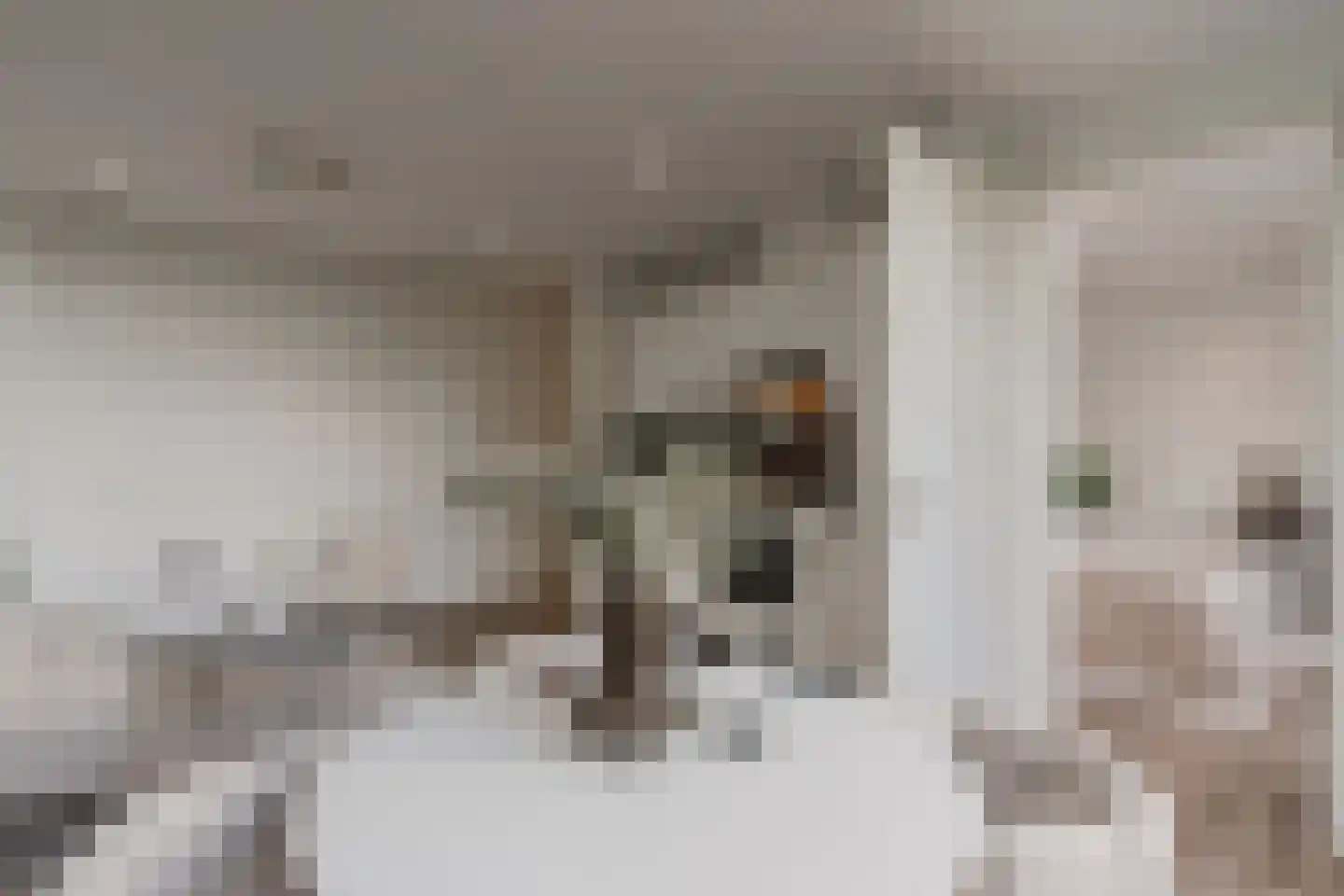 Smallepad 22 B Amersfoort thumbnail 16