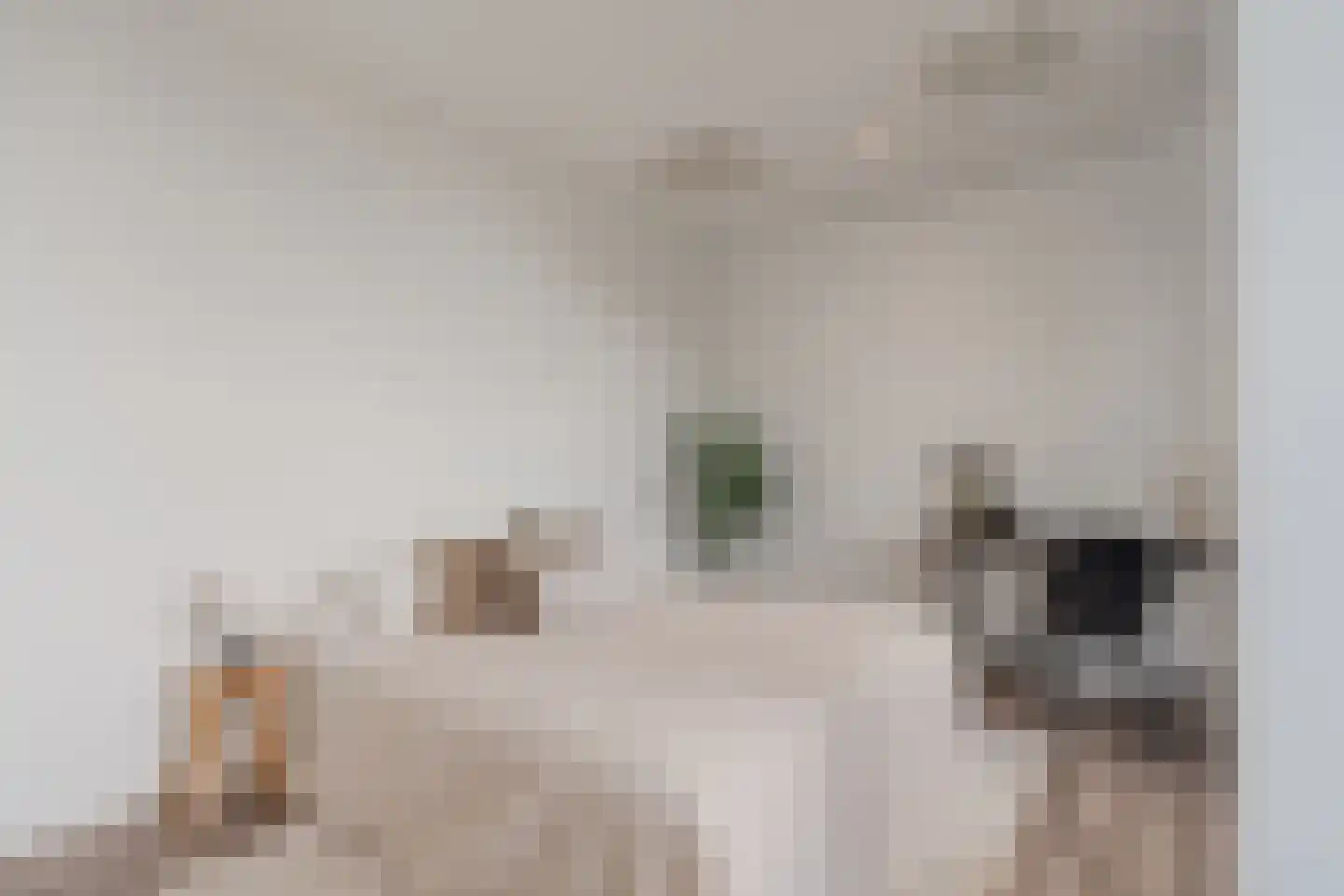 Smallepad 22 B Amersfoort thumbnail 22