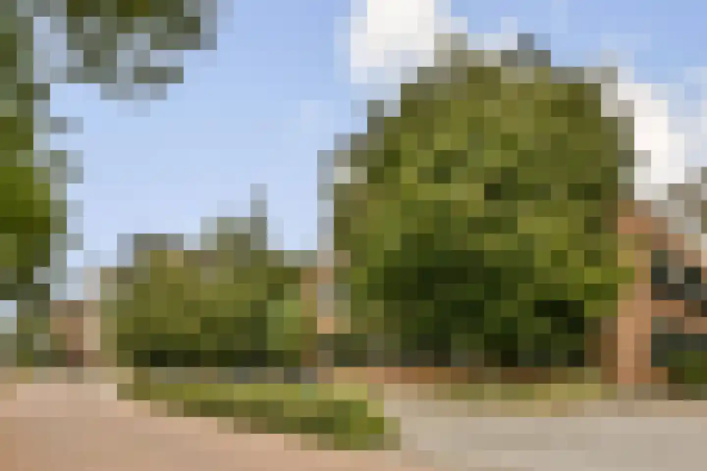 Smallepad 26 A Amersfoort thumbnail 15