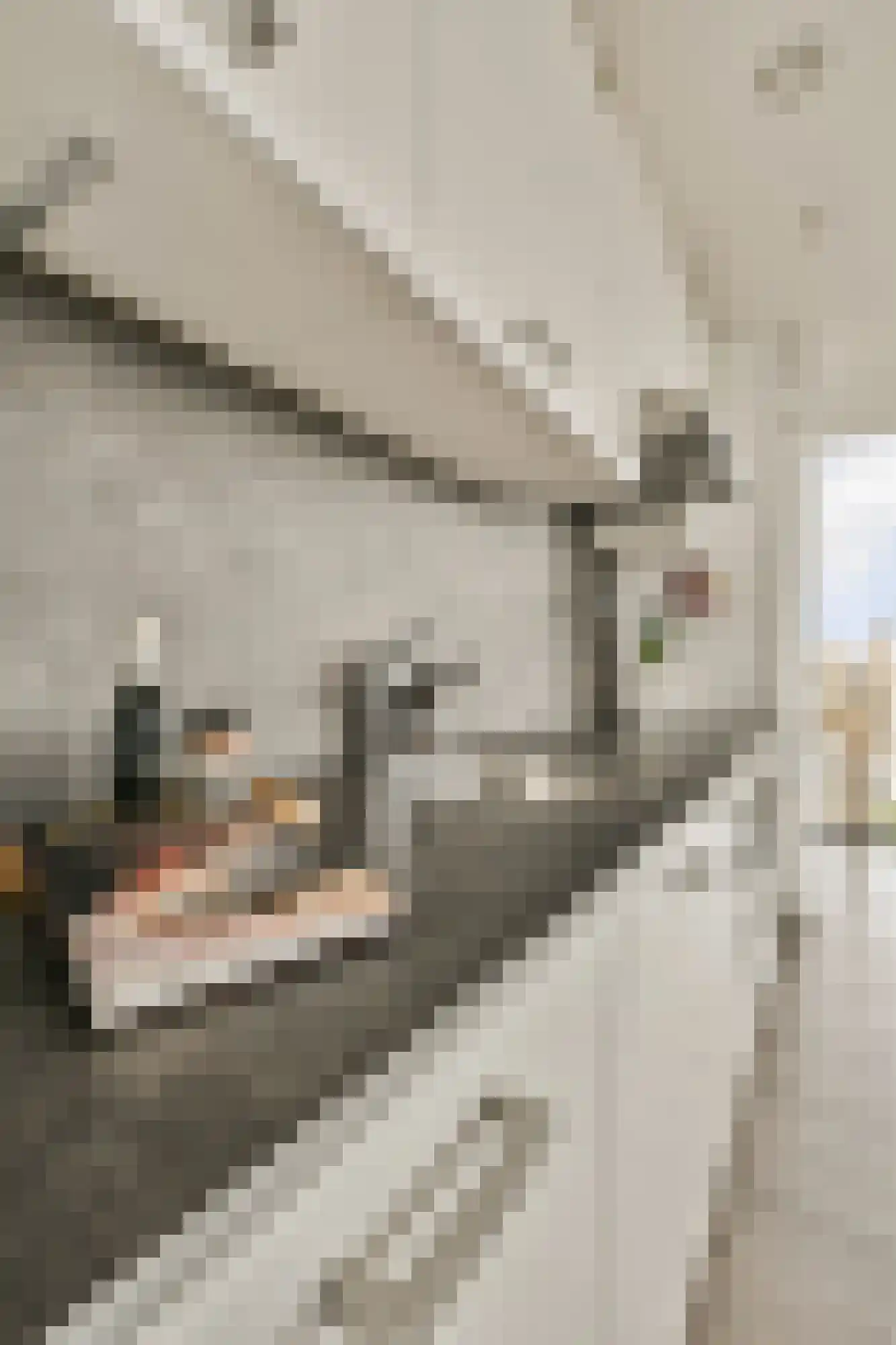 Smallepad 26 A Amersfoort thumbnail 28