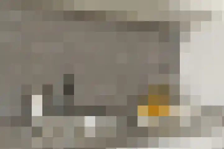 Smallepad 26 B Amersfoort thumbnail 12
