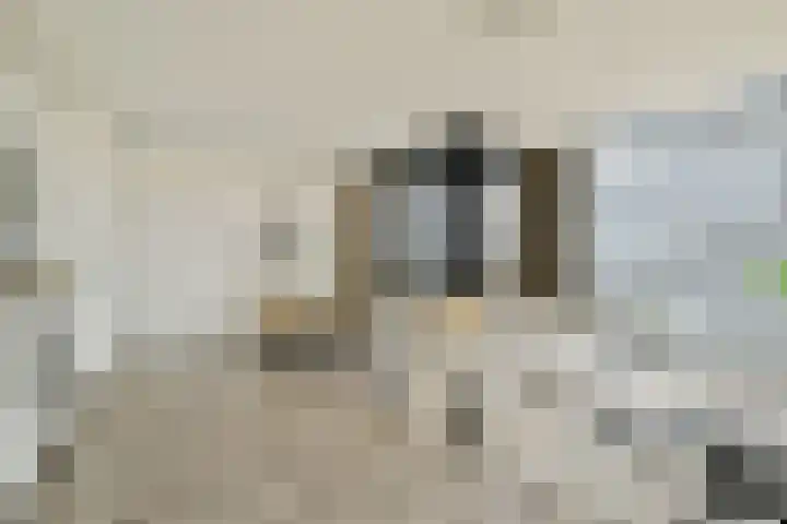 Smallepad 26 B Amersfoort thumbnail 9