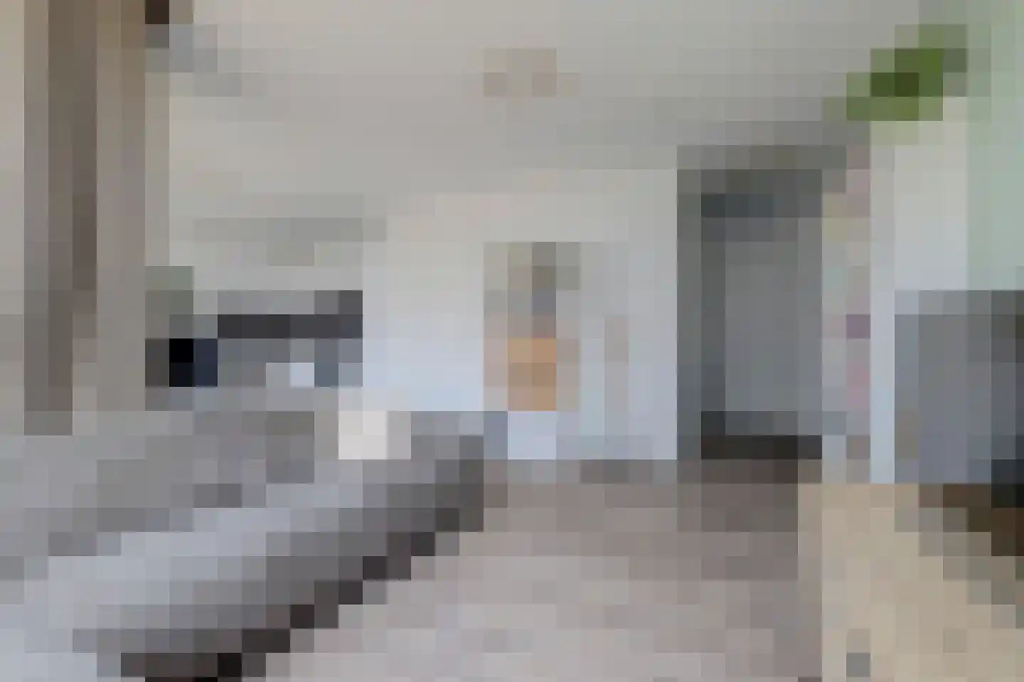 Smallepad 26 C Amersfoort thumbnail 10