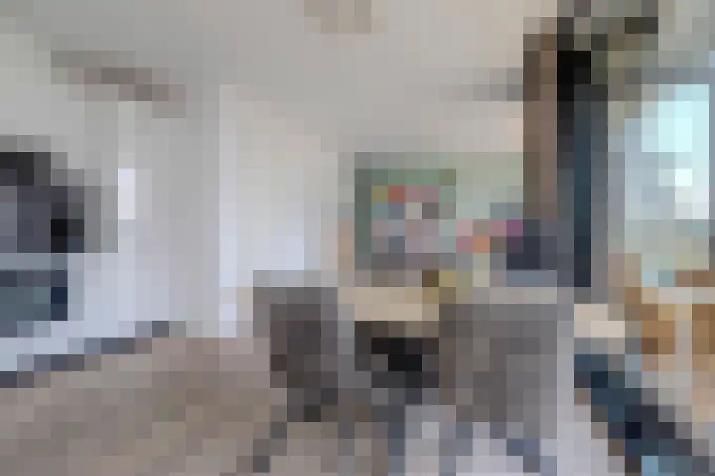 Smallepad 26 C Amersfoort thumbnail 20